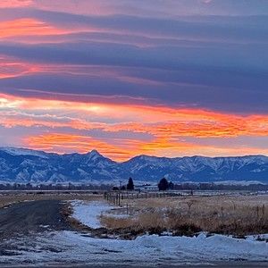 Meet your Posher, Ben